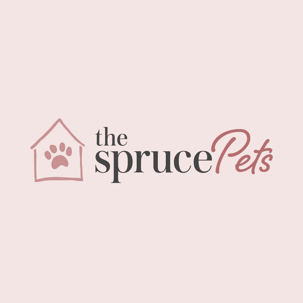 The-Spruce-Pets