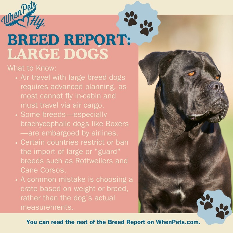 Breed Report