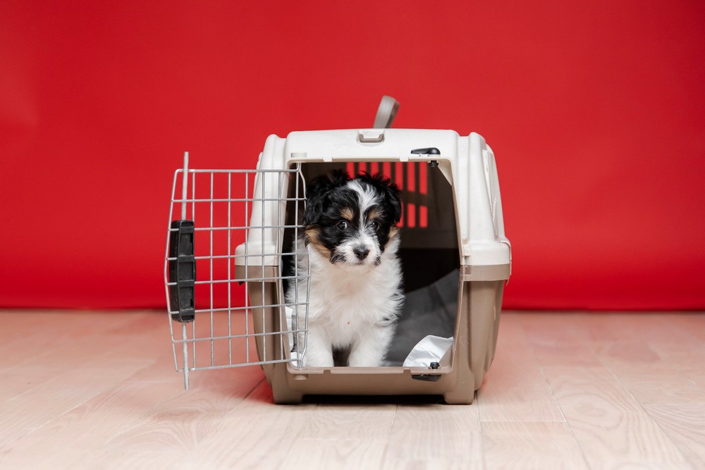 Why Weight-Based Crate Selection Is Unsafe for Air Travel