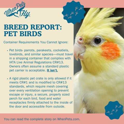 Breed/Species Report: Pet Birds - Container Requirements You Cannot Ignore