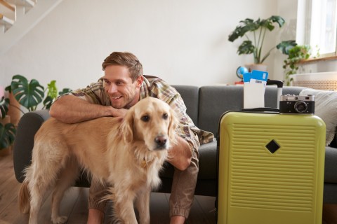 Is It Safe for Pets to Fly in Cargo? What Pet Owners Should Know Before Air Travel